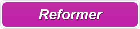Reformer